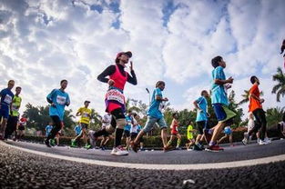 2019奔跑中國馬拉松賽歷發(fā)布 13項精選賽事引領全民健身熱潮